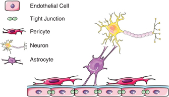 Click to Enlarge View Fig 1