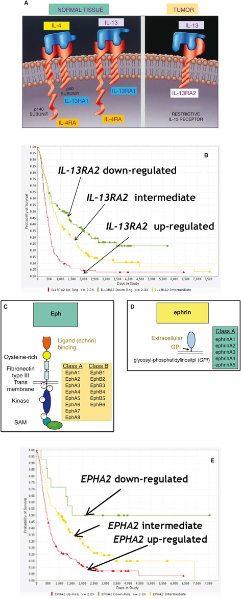 Click to Enlarge View Fig 2