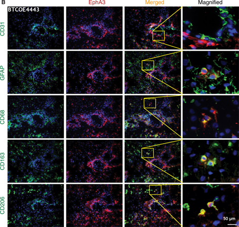 Click to Enlarge View Fig 3