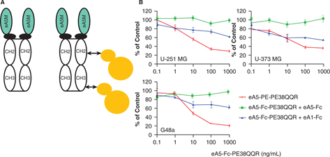 Click to Enlarge View Fig 4