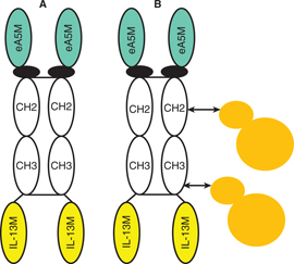 Click to Enlarge View Fig 5