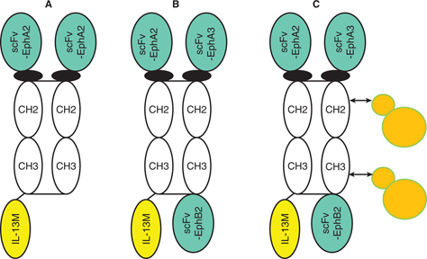Click to Enlarge View Fig 6