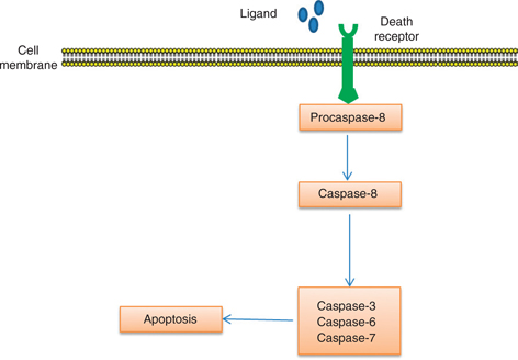 Click to Enlarge View Fig 2