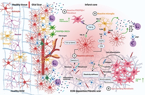Click to Enlarge View Fig 3