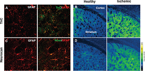Click to Enlarge View Fig 4