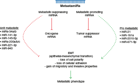 Click to Enlarge View Fig 1