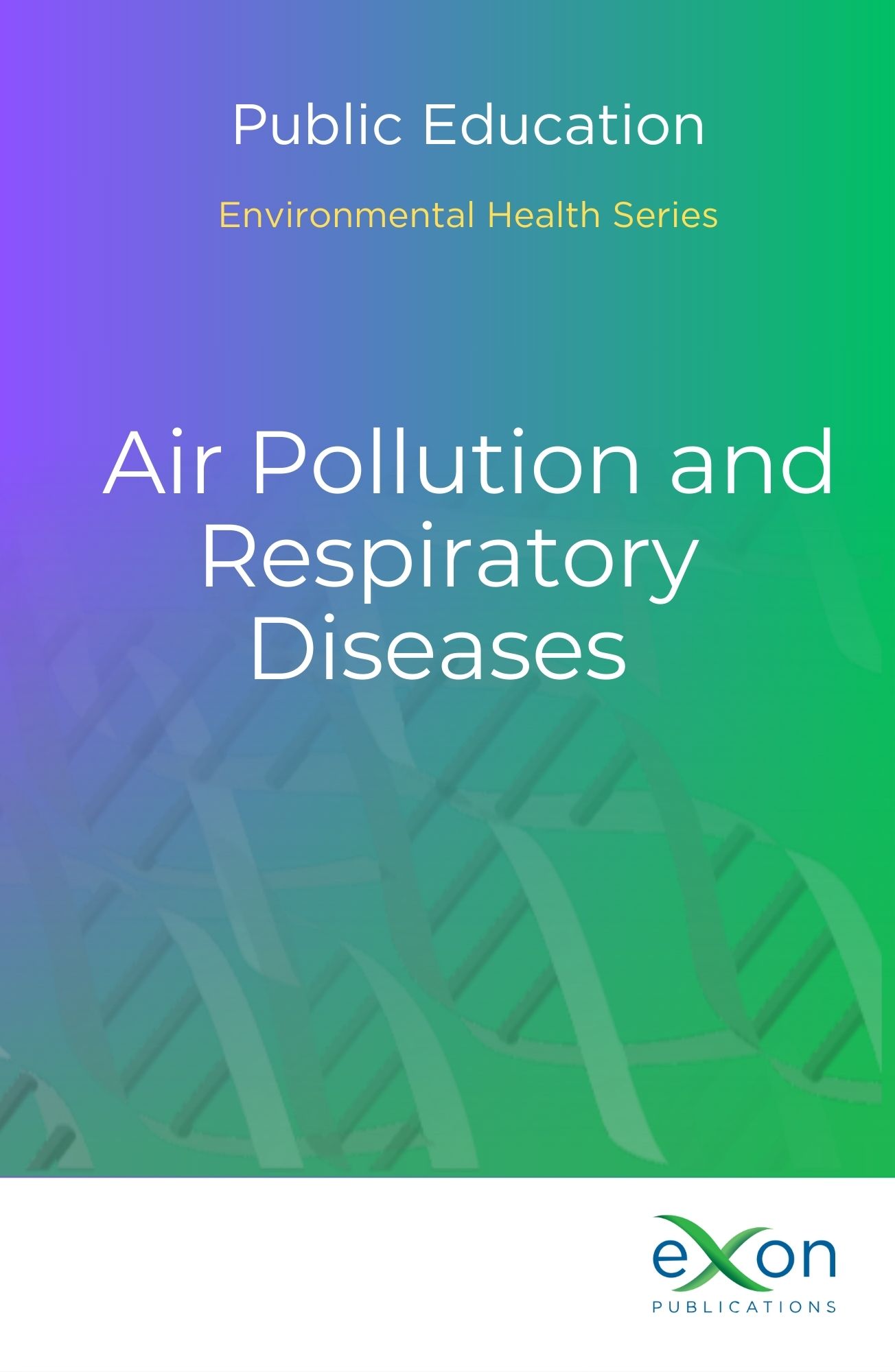 Air pollution and respiratory diseases book cover
